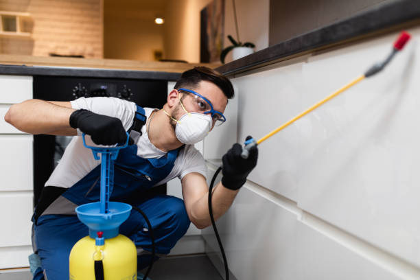 Best Mosquito Control Services  in Corning, AR