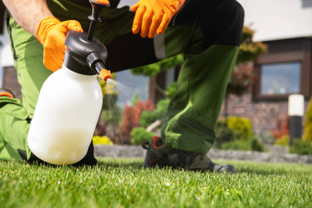 Best Best Pest Control Companies  in Corning, AR