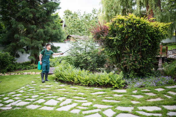 Best Affordable Pest Control Services  in Corning, AR