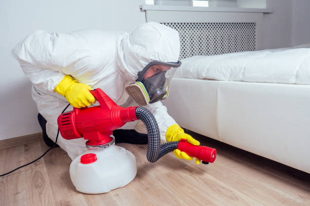 Reliable Corning, AR Pest Control Solutions