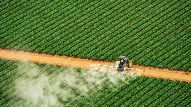 Best Best Pest Control Companies  in Corning, AR